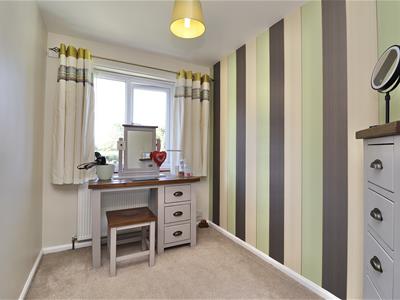 Picture 11